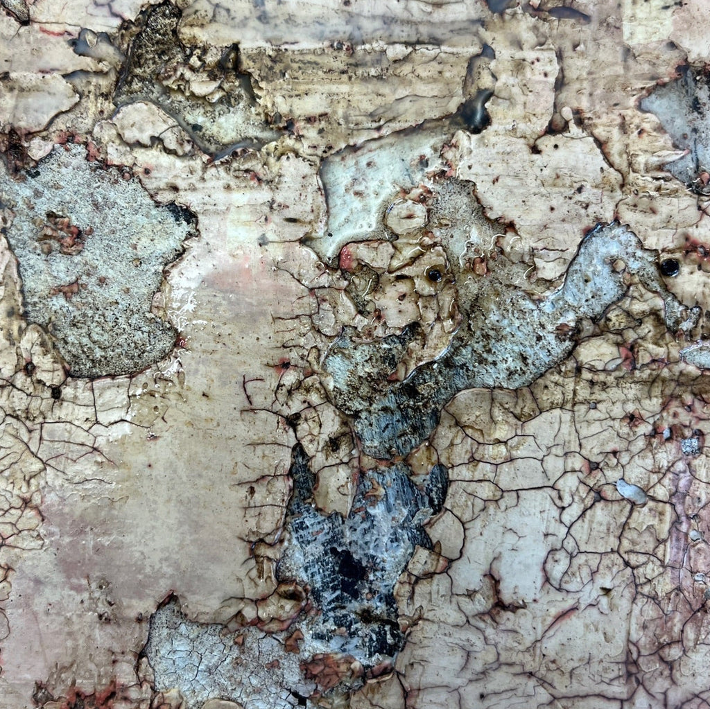 Sumpfkalk das moderne Fresco