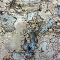 Sumpfkalk das moderne Fresco